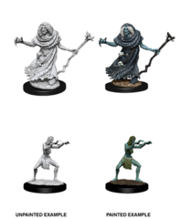 DND UNPAINTED MINIS WV12 SEA HAG AND BHEUR HAG